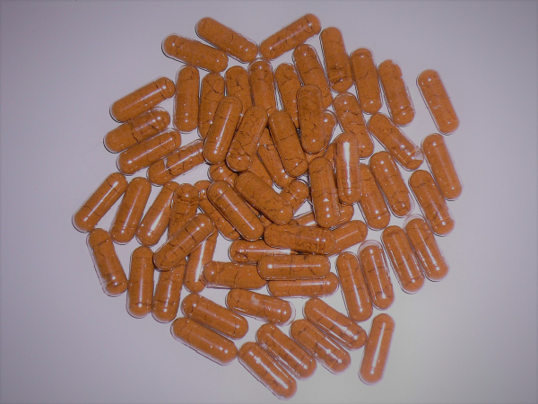 BIO-Hagebuttenpulver-Kapseln 120 Kps.